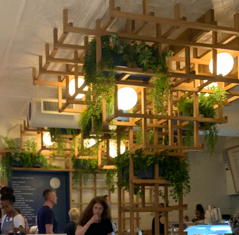 The plant trellis decor